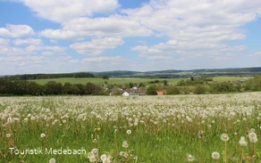 Tausende Pusteblumen - Panorama bei Berge Tausende Pusteblumen - Panorama bei Berge