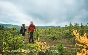 Wanderpaar auf einem Hoehenzug im Sauerland