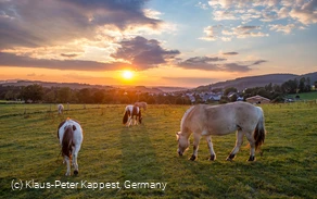 Blick auf Holthausen im Schmallenberger Sauerland