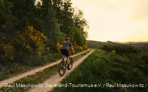Gravelbike