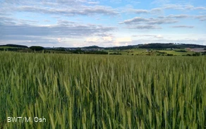 DA_IMG_20200607_201648305_HDR.jpg