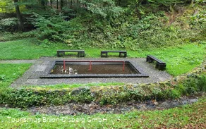Tretbecken Wulmeringhausen