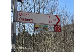 51_Beschilderungskataster_Wegweiser-Brilon-Olsberg_493916.jpeg