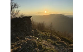 Olsberg Gipfel in der Abendsonne.jpg