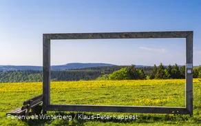 FerienweltWinterberg_2018_Hoheleye_Naturkino Landschaftskino Rahmen Natur_Sommer_Klaus-Peter Kappest (2).jpg