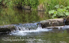 Die Orke bei Medebach-Medelon