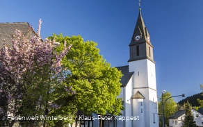 Eine Kirche umgeben von blühenden Bäumen.