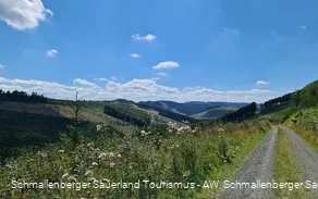 2624137