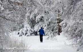 Reetsberg Loipe in Medebach Küstelberg