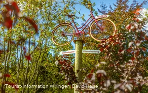 wegweiser-fahrrad-diemelquelle c) david-heise-tourist-information-willingen.jpg