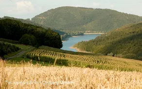 Diemelsee