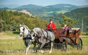 Picknickkutsche-004.JPG