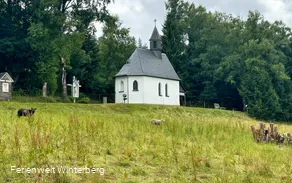 Kapelle oberhalb einer Wiese mit Schafen, umgeben von Bäumen.