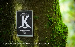 Auf dem Kneipp WanderWeg Olsberg