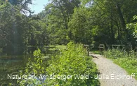 Park an den Almequellen Brilon