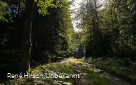 Rahrbacher Poesieweg Richtung Welschen Ennest