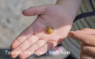 Kleine Naturentdecker unterwegs in Medebach