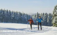 Langläufer-Paar vor verschneiten Tannen