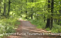 Auf dem Olsberger Kneippweg