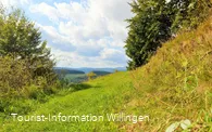 Tolle Ausblicke auf dem Geschichtspfad Welleringhausen