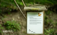 Sabrinity_BWT25_293.jpg