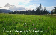 Durch Wiesen und Weiden im Gelängetal Medebach