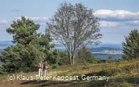 Wanderer in der Heidelandschaft