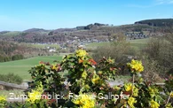 cafe-fernblick-aussicht.jpg