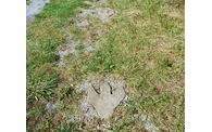 20240912_120111.jpg