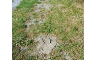 20240912_120111.jpg