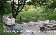 Kneippbecken an der Diemelquelle
