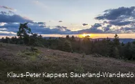 Heidelandschaft bei Sonnenuntergang 