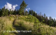 KPK1046487_Briloner Kammweg und Rothaarsteig_mittel.jpg