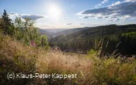 KPK1046548_mittel.jpg