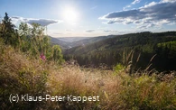 KPK1046548_mittel.jpg