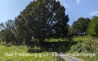 2684639