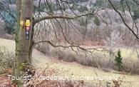 Wandern in der Ferienregion Medebach auf gut markierten Wegen