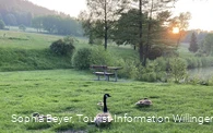 Stryckteich mit Enten bei Sonnenuntergang