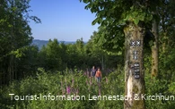 Wandern zwischen Fingerhüten