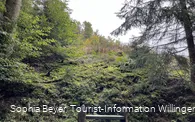 Ruhebank mit Farnen und Moos am Uplandsteig