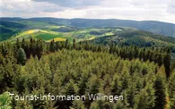 Blick vom Dommel