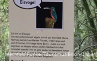 Infos für Kinder