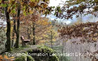 Waldlehrpfad Saalhausen