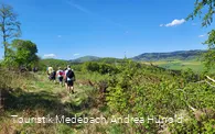 Unterwegs auf dem Medebacher Bergweg