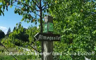 Wegweiser Brilon Almequellen - Sauerland-Waldroute