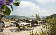 waldhotel-willingen-terrasse-ausblick.jpg