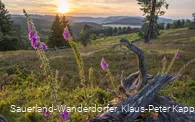 Blick von der Hochheide in den Sonnenuntergang