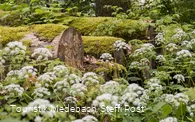 Natur bei Glindfeld