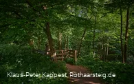 Pfad ins Helletal in Winterberg