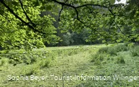 Wiese im Strycktal